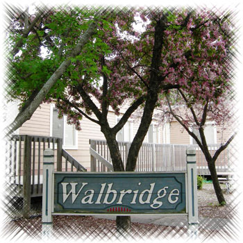 Walbrdge School